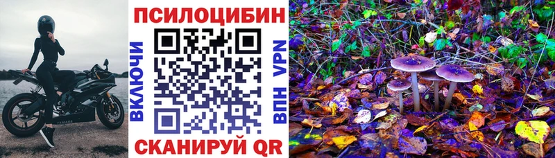Псилоцибиновые грибы мицелий  Брюховецкая 
